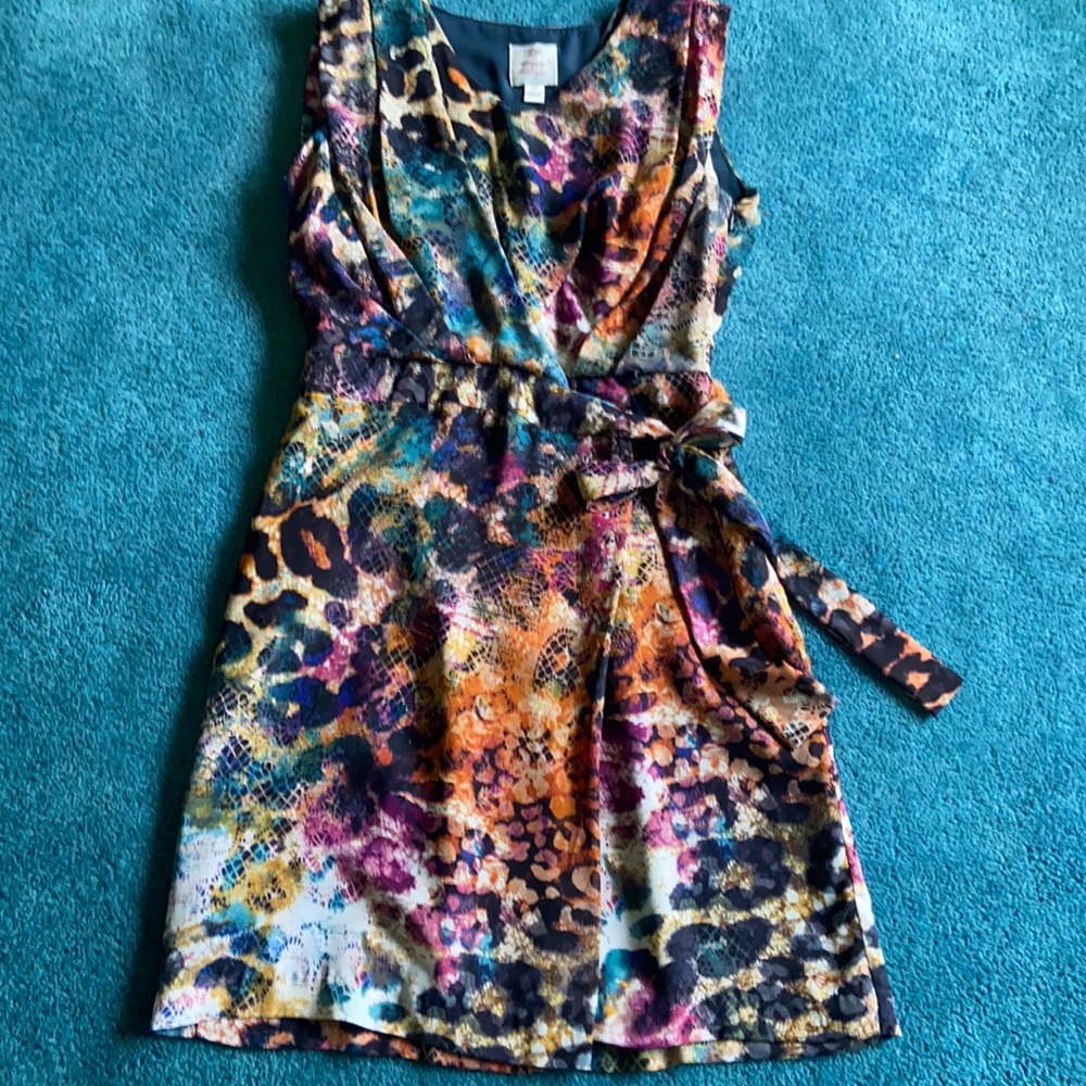 Suzi Chin for Maggy Boutique dress